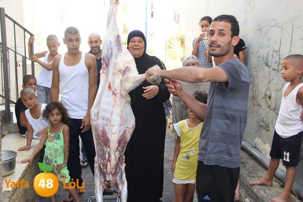 dabe7 ludj31 (37).JPG